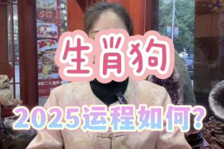 属狗人的2025年运势_2025年肖狗人的运势和运程