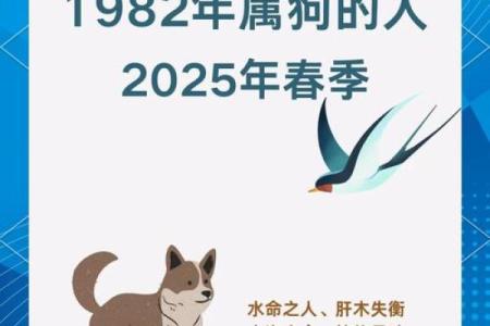 2006年狗五行属什么命 2006年狗五行缺啥