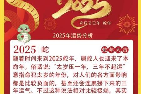属羊人2025年蛇年全年运势_属羊人2025年蛇年全年运势如何