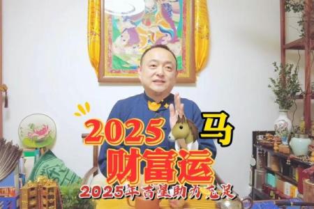 2025年马年的运势