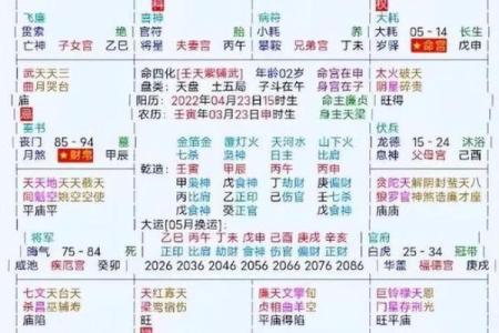 2025年3月3日子时男命紫微斗数全解盘
