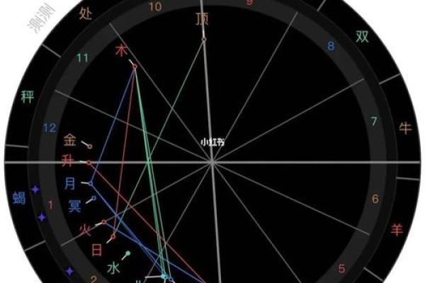 2025年2月18日丑时男命紫微斗数全解盘 2025年2月18日丑时男命紫微斗数全解盘