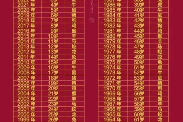 属鸡人2024年运势详解_2024年属鸡人运势详解财运事业感情全解析 属鸡人2024年运势详解_2024年属鸡人运势详解财运事业感情全解析