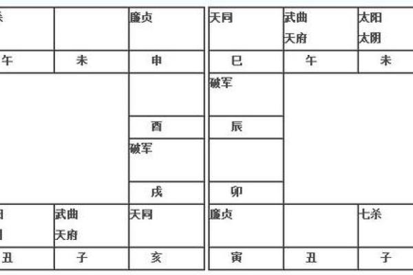 2025年2月24日子时女命紫微斗数全解盘