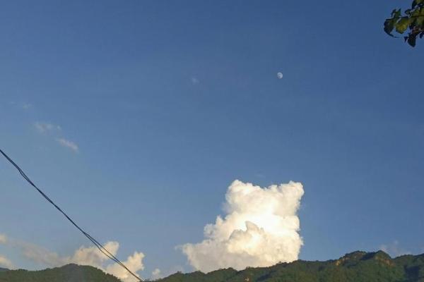 白云苍狗打一个生肖(白云苍狗猜一生肖) 白云苍狗打一个生肖(白云苍狗猜一生肖)