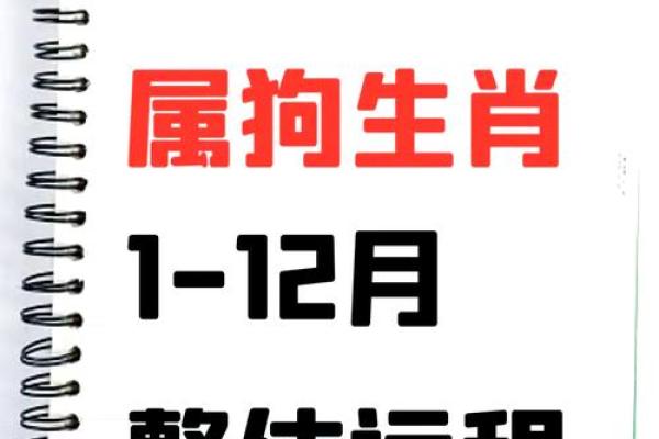 2025年属狗人的全年运势如何_属狗今年2025运气如何