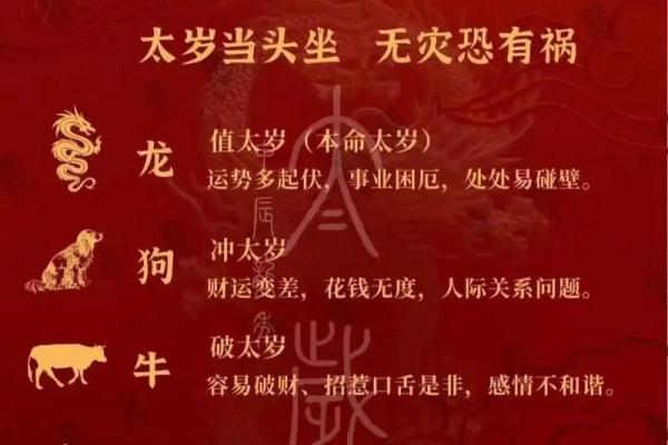 1976年属龙最难熬年龄_76年属龙人49岁最难熬