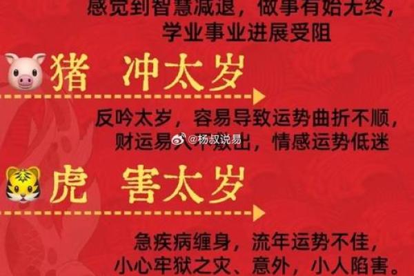 东宫辅助是什么生肖(东宫辅助是什么生肖) 东宫辅助是什么生肖(东宫辅助是什么生肖)