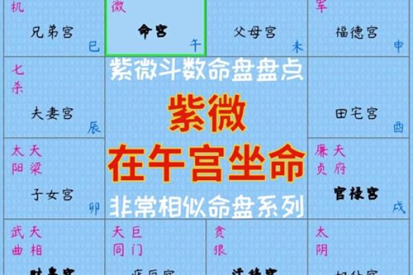 2025年2月25日子时男命紫微斗数全解盘