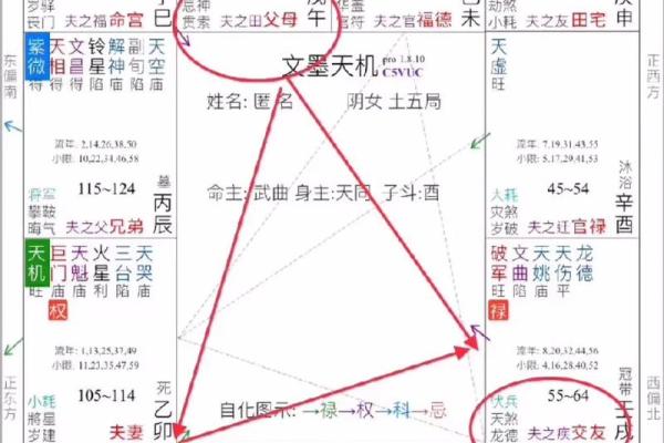 夫妻宫化权入十二宫 夫妻宫化权真的以配偶为贵 夫妻宫化权入十二宫 夫妻宫化权真的以配偶为贵