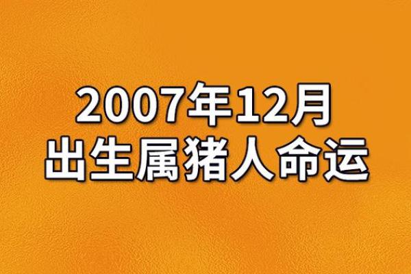 2007年属猪2025年运势详解运程预测与吉凶分析 2007年属猪2025年运势详解运程预测与吉凶分析