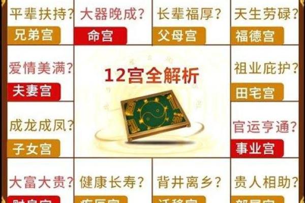 2025年2月21日子时男命紫微斗数全解盘