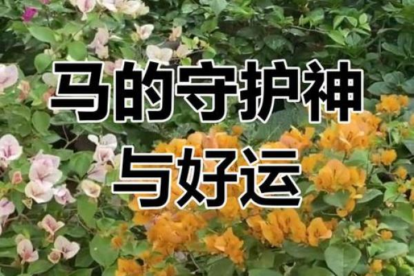 1966年属马人今日运势解析财运健康双旺贵人助力事业升 1966年属马人今日运势解析财运健康双旺贵人助力事业升