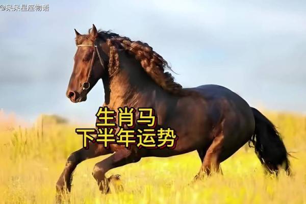 1966年属马人今日运势解析财运健康双旺贵人助力事业升 1966年属马人今日运势解析财运健康双旺贵人助力事业升