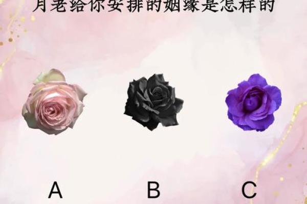 姻缘真的是月老安排吗 姻缘真的是月老安排的吗揭秘爱情背后的真相