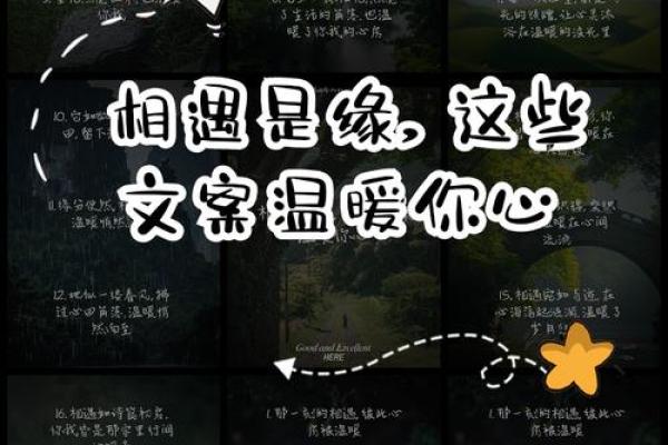 缘分让我们相遇 缘分让我们相遇的文案 缘分让我们相遇 缘分让我们相遇的文案