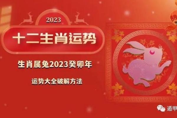 1999年属兔女2025年全年运势 2025年属兔女人的全年运势详解 1999年属兔女2025年全年运势 2025年属兔女人的全年运势详解