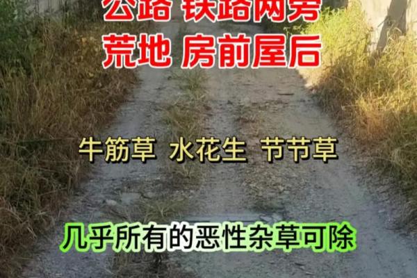 寸草不生是什么生肖(寸草不生是什么生肖) 寸草不生是什么生肖(寸草不生是什么生肖)