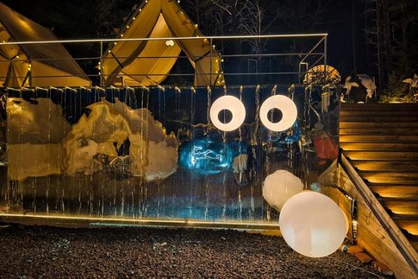 星星点灯是什么生肖(星星点灯是什么生肖)