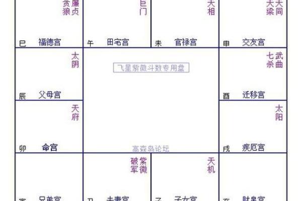 夫妻宫对宫是哪一宫_夫妻宫对宫解析揭秘婚姻运势的关键宫位 夫妻宫对宫是哪一宫_夫妻宫对宫解析揭秘婚姻运势的关键宫位