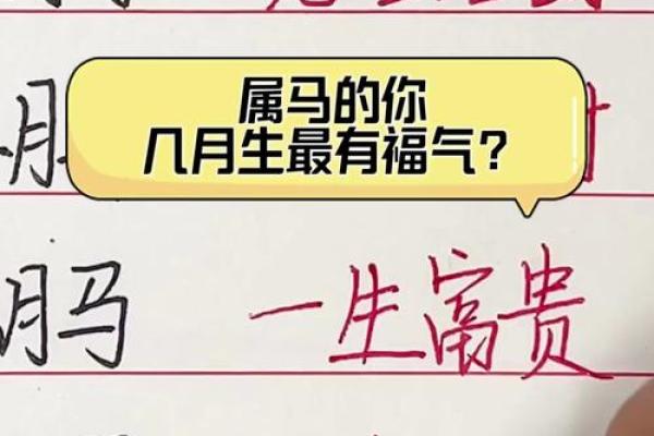 2014年属马的多大_2014甲午马年生肖年龄详解属马者岁数月份对照 2014年属马的多大_2014甲午马年生肖年龄详解属马者岁数月份对照