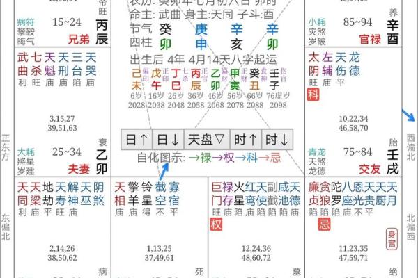 2025年2月21日丑时男命紫微斗数全解盘