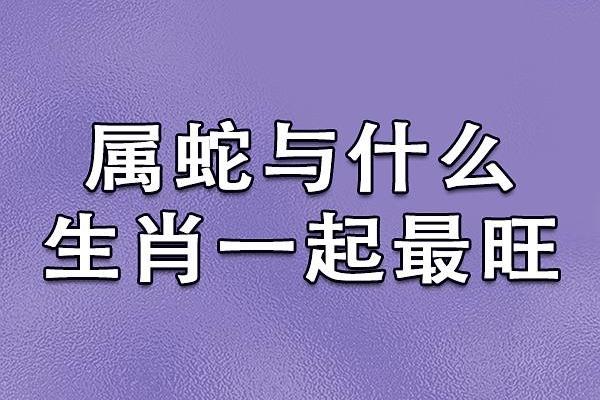 属蛇跟属狗的姻缘怎么样_蛇和狗是冲还是合 属蛇跟属狗的姻缘怎么样_蛇和狗是冲还是合