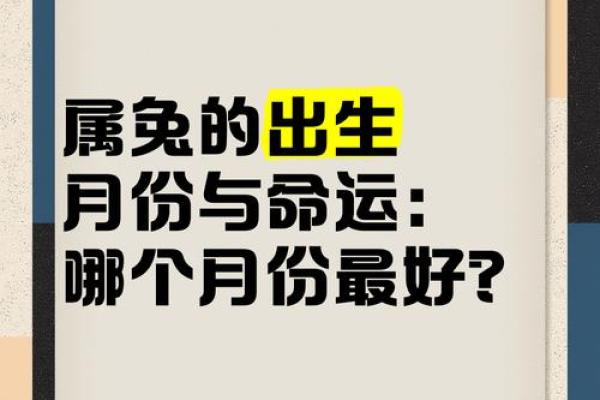 属兔2025年结婚吉日 2025年属兔结婚吉日大全最佳婚期推荐与择日攻略 属兔2025年结婚吉日 2025年属兔结婚吉日大全最佳婚期推荐与择日攻略
