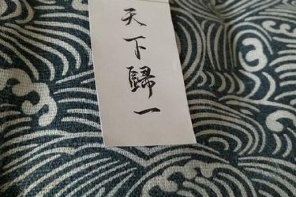 天下归一是什么生肖(天下归一打一肖)