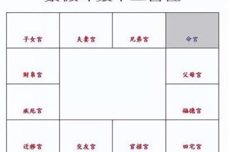 2025年3月3日寅时女命紫微斗数全解盘