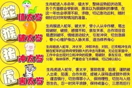 91属羊人2025年全年运势详解_2025年属羊的全年运势如何