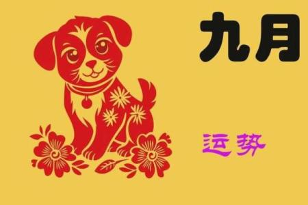 生肖狗2025年运势_2025年生肖狗运势详解财运事业爱情全面解析