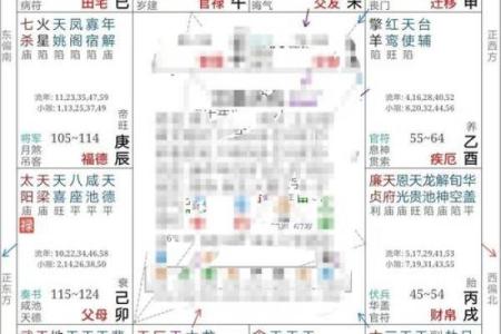 2025年2月21日寅时女命紫微斗数全解盘