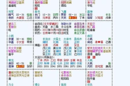 2025年3月17日丑时男命紫微斗数全解盘