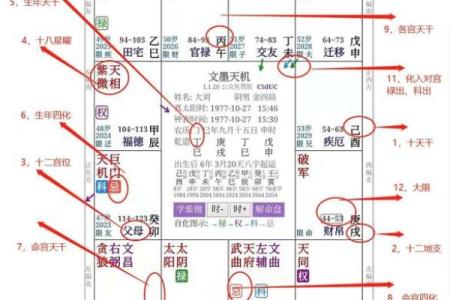 2025年2月24日子时男命紫微斗数全解盘