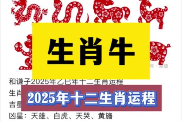 属龙人2025全年运势_2025年属龙的运势及运程1988