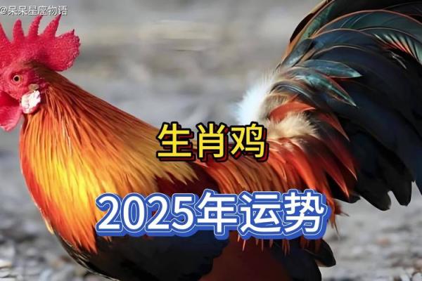 属鸡的2024年运势和财运怎么样_2024年属鸡人运势与财运全解析 属鸡的2024年运势和财运怎么样_2024年属鸡人运势与财运全解析