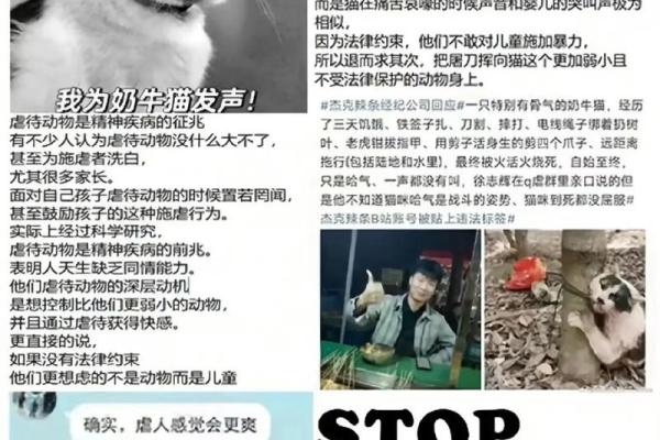 为富不仁打一动物 为富不仁打一动物