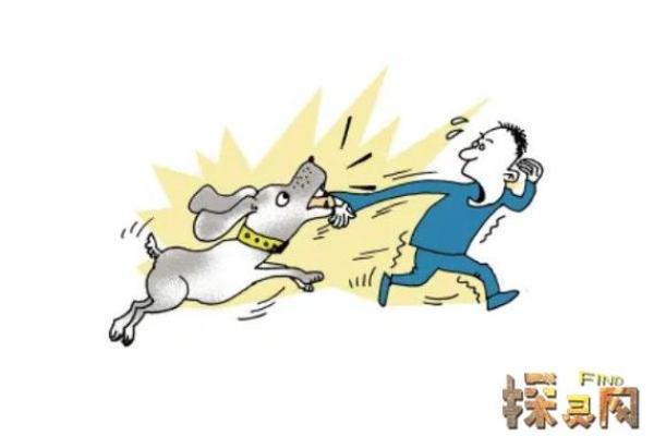女人梦见狗咬是什么预兆