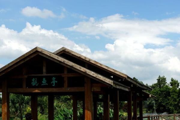 骄阳似火打一生肖(骄阳似火是什么肖打一肖个来)