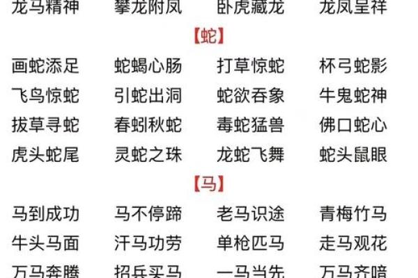 四目相对指什么生肖(四目相对是成语吗)