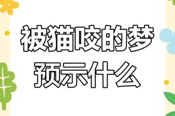 女人梦见猫是什么预兆