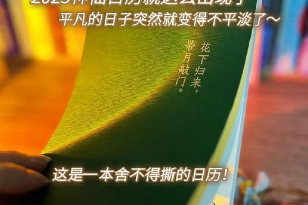 2025年最好的日子是几号 2025年最好的日子是几号