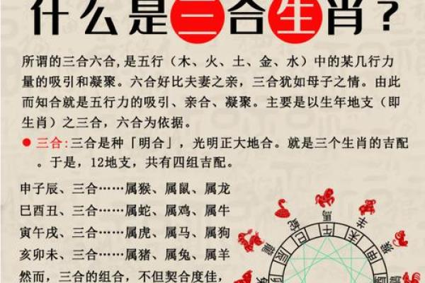 五大三粗指什么生肖