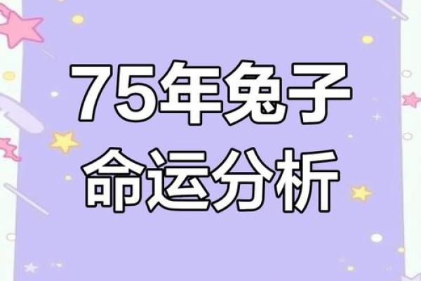 1975年属兔今年运程_1975年属兔2023年运程解析财运事业感情全攻略 1975年属兔今年运程_1975年属兔2023年运程解析财运事业感情全攻略