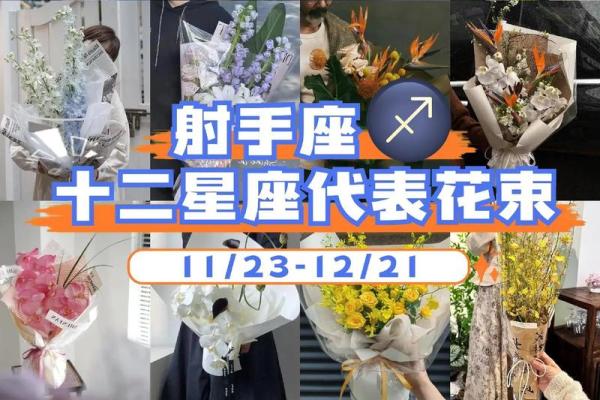 射手座星座运势查询 射手座星座运势星座屋 射手座星座运势查询 射手座星座运势星座屋