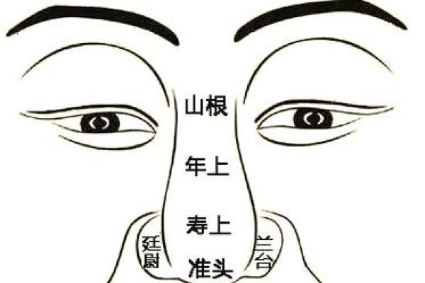 地空入疾厄宫命理解析与运势影响