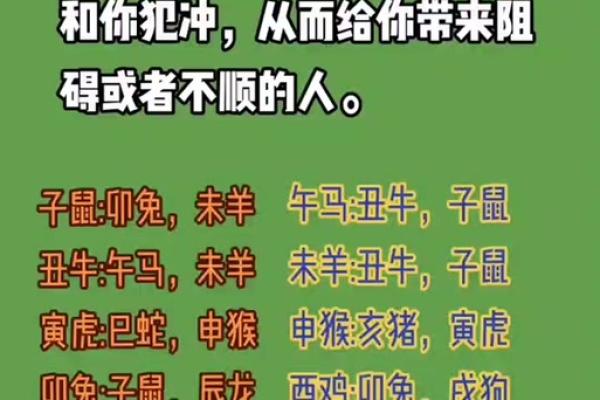 明争暗斗指什么生肖 明争暗斗指什么生肖