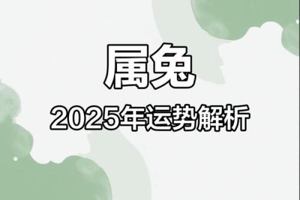 2025年属兔财运怎么样_2025年生肖兔 2025年属兔财运怎么样_2025年生肖兔