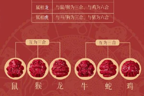 九死一生是什么生肖(九死一生猜生肖)